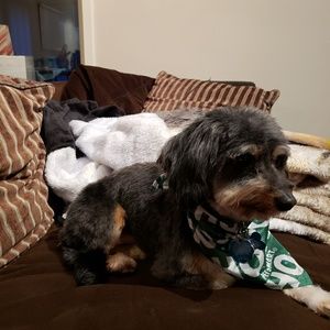 Meet your Posher, Jenee